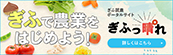 ぎふで農業をはじめよう！ぎふ就業ポータルサイト「ぎふっ晴゜れ」詳しくはこちら