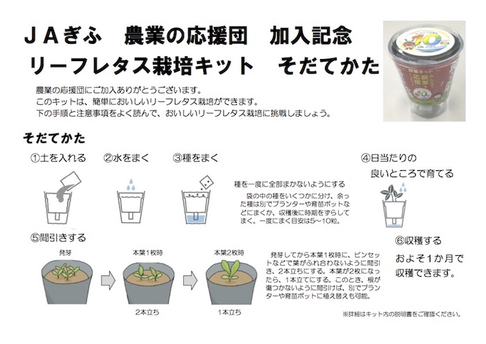 リーフレタス栽培日記 ｊａぎふ