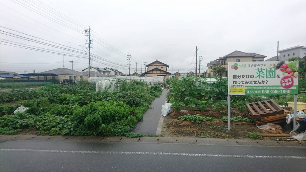 My Sunny Garden はぐり（ほのぼのファームＢ）