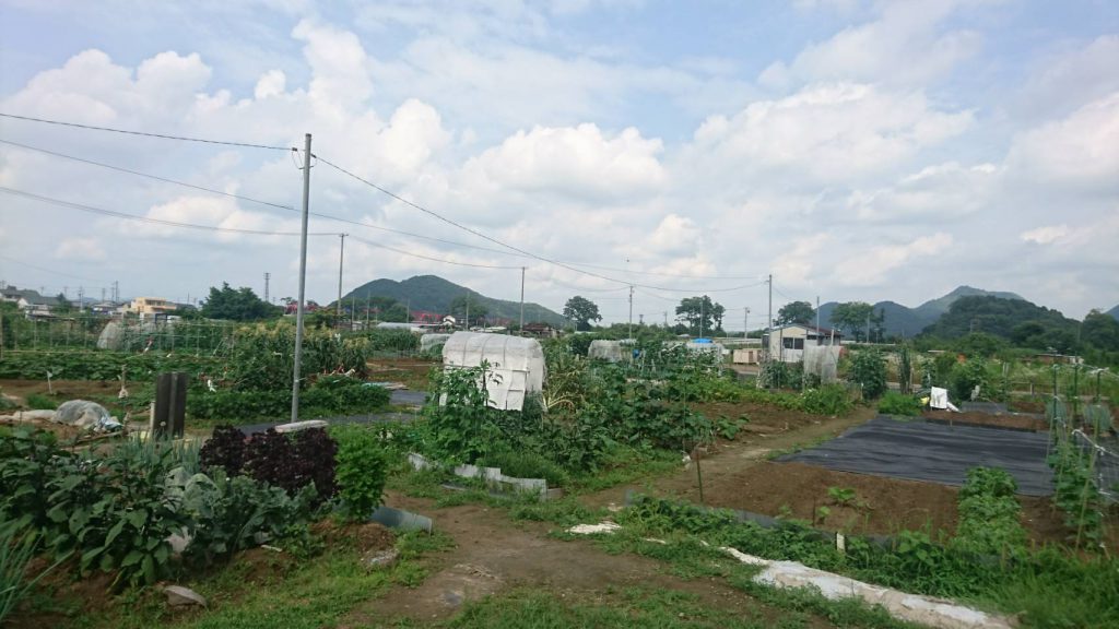 レンタル菜園「ゆう遊」藍川