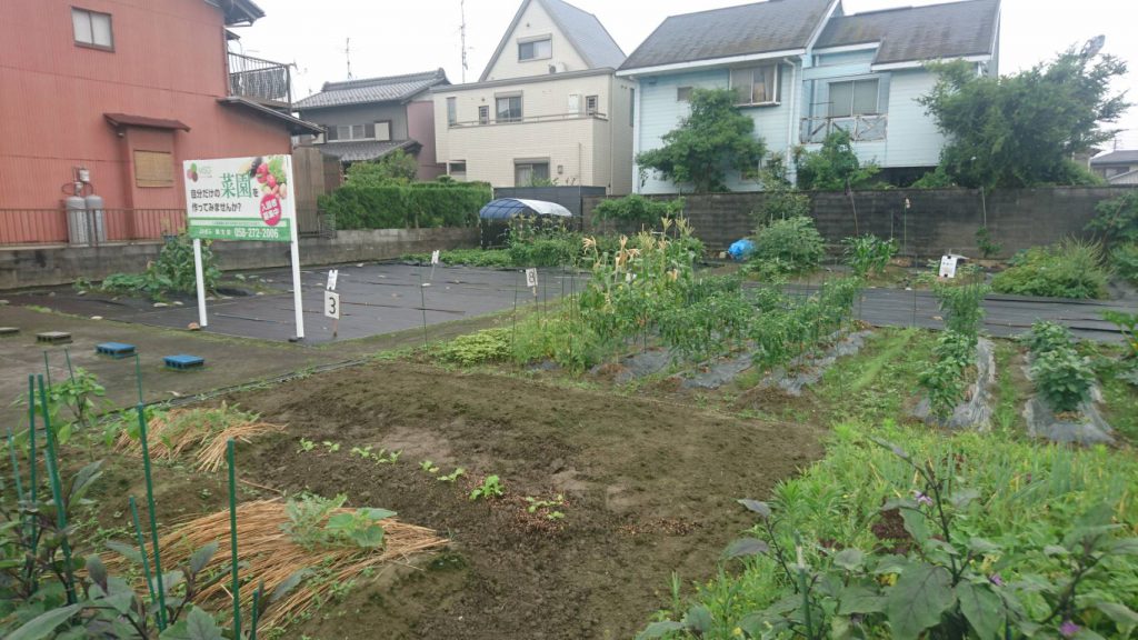 My Sunny Garden 上佐波西