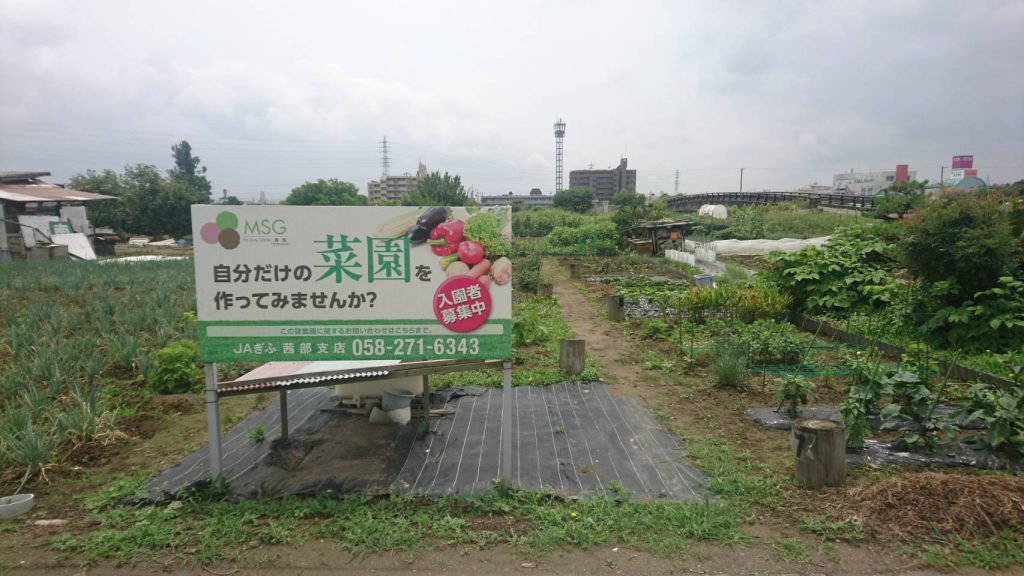 My Sunny Garden 茜部（さかい川）