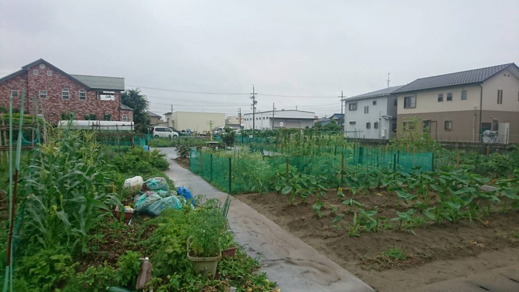 My Sunny Garden はぐり（ほのぼのファームＡ）