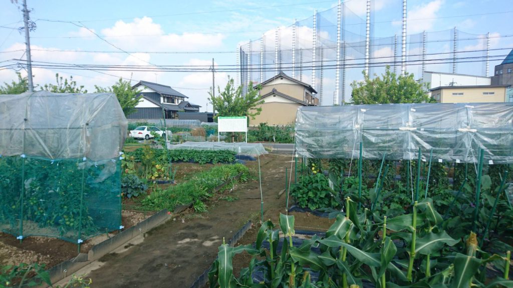 My Sunny Garden 合渡（一日市場）