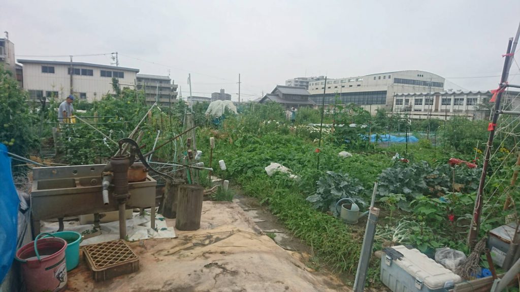 レンタル菜園市橋
