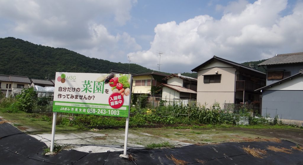 My Sunny Garden 芥見影山