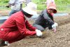 将来の農業女子への一歩　女子大初のアグリコース