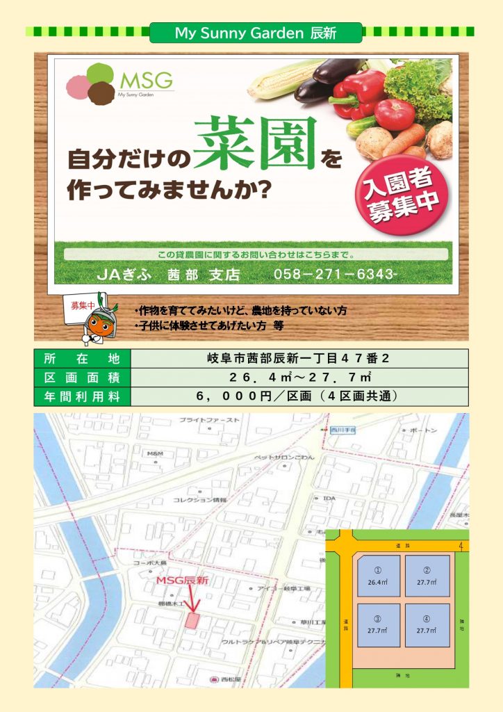 My Sunny Garden 辰新